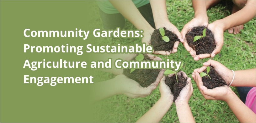 Community Gardens: Promoting Sustainable Agriculture and Community Engagement