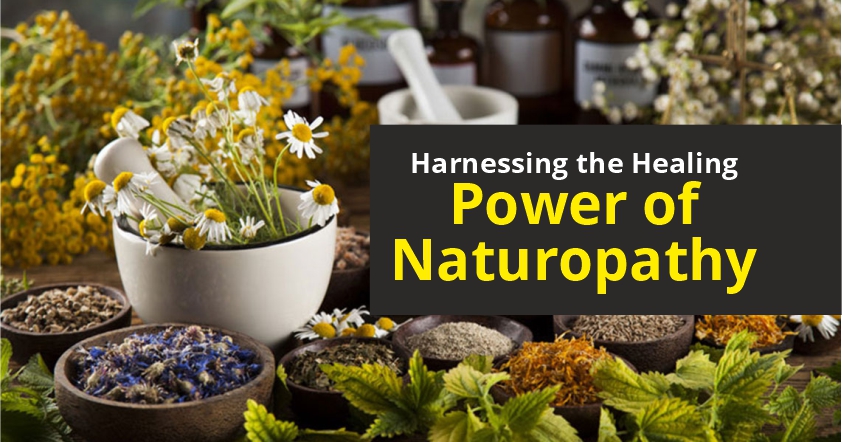 Harnessing the Healing Power of Naturopathy: A Comprehensive Guide