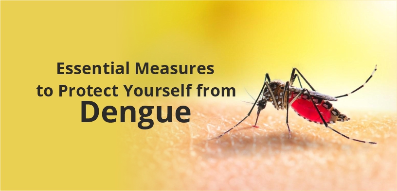 Essential Measures to Protect Yourself from Dengue…
