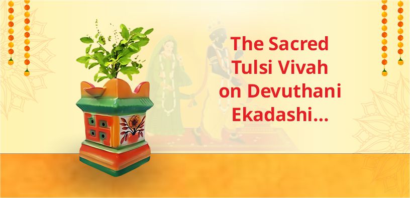 The Sacred Tulsi Vivah on Devuthani Ekadashi…