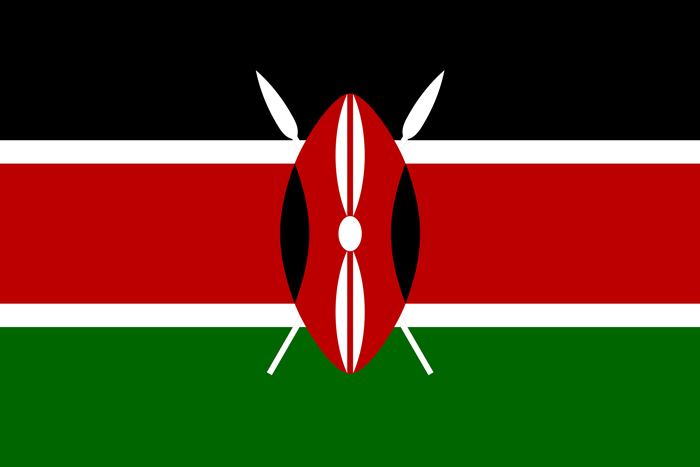 Narayan Seva Sansthan in केन्या