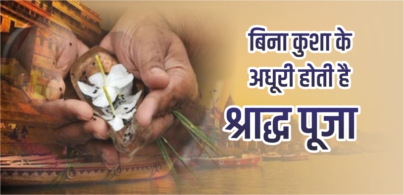 Shradhpaksha2023, बिना कुशा के अधूरी होती है श्राद्ध पूजा