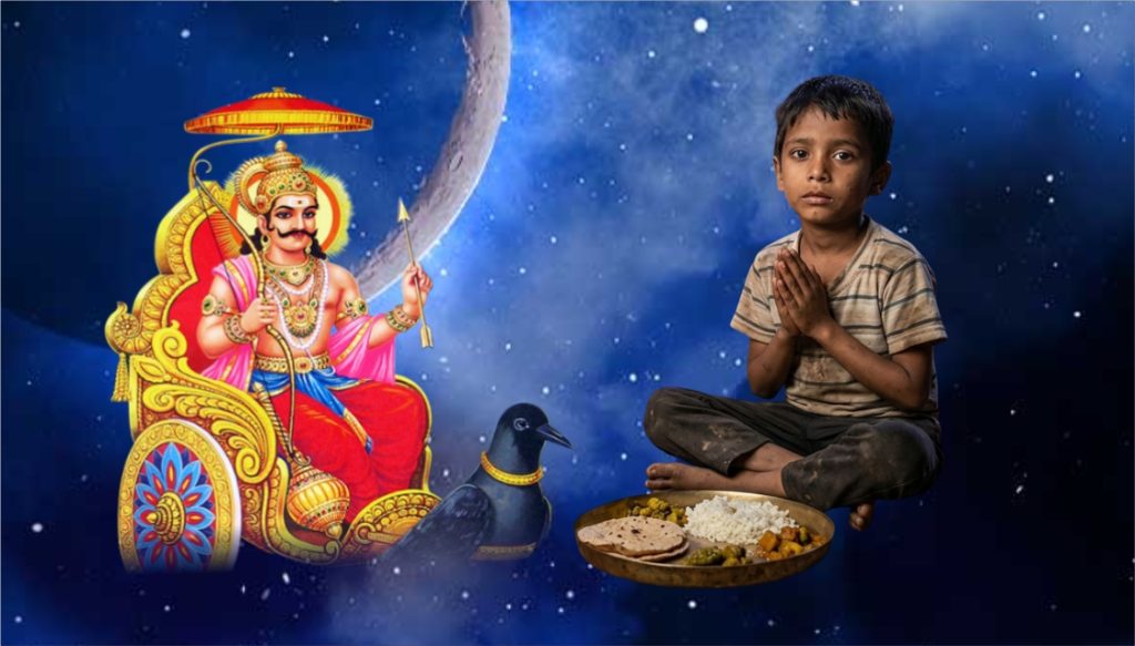 Narayan Seva Sansthan - शनि अमावस्या