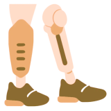 ਕ੍ਰਿਤ੍ਰਿਮ ਅੰਗ