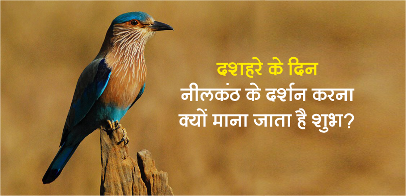 दशहरे के दिन नीलकंठ के दर्शन करना क्यों माना जाता है शुभ?