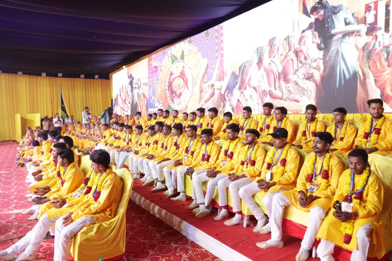 haldi5.webp