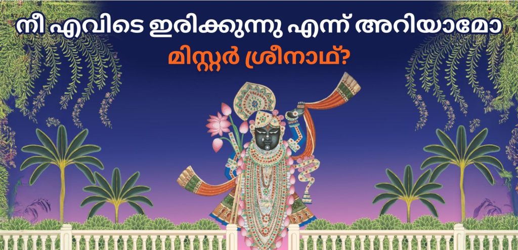 Shreenath Ji darshan