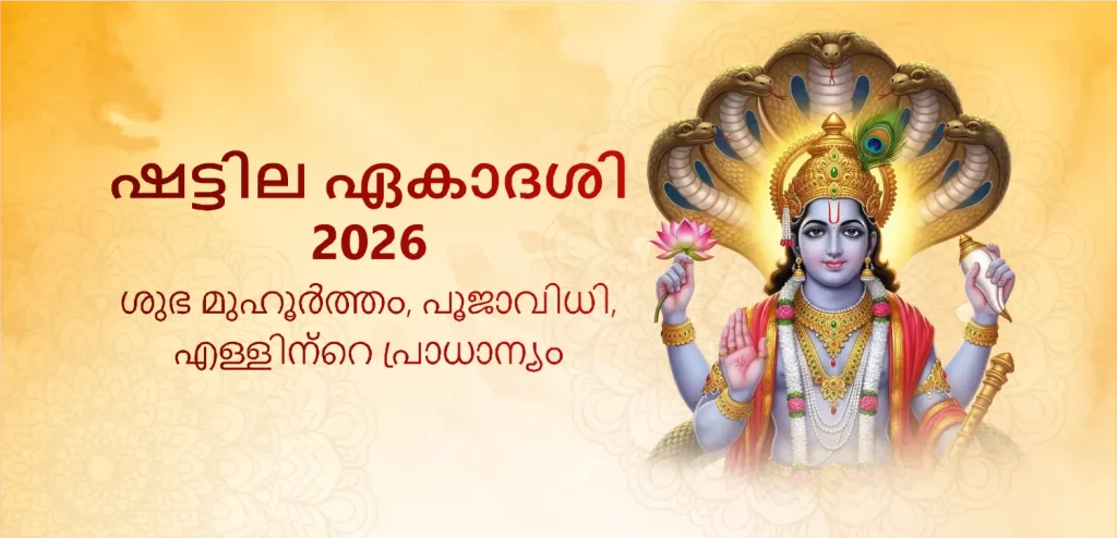 Shattila Ekadashi 2026 charity