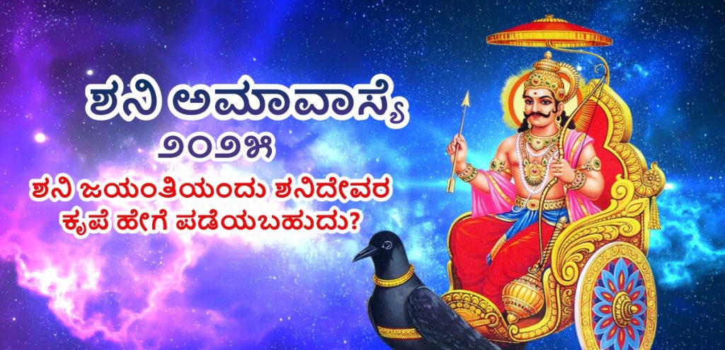 shani jayanti 2025 donation